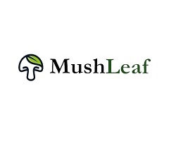 MushLeaf