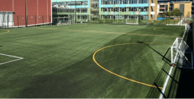 Synthetic Turf Company Ltd
