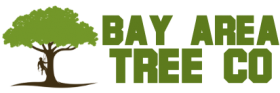 Bay Area Tree Co