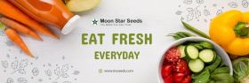 Moon Star Seeds Pvt Ltd