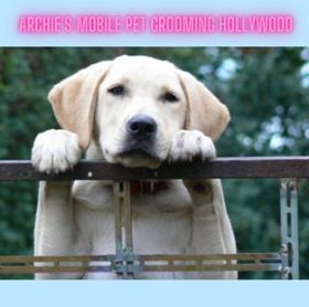 Archie's Mobile Pet Grooming Hollywood