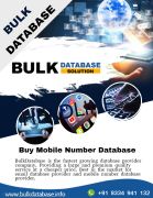 bulkdatabase