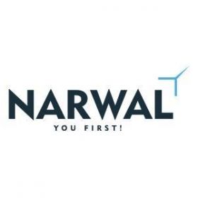 Automation Software Testing Company | Narwal
