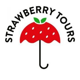 Strawberry Tours - Free Tours Havana
