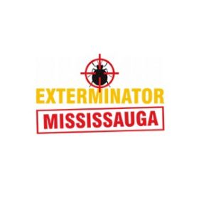 Bed Bug Exterminator Mississauga