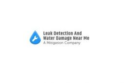 Leak Detection And Water Damage Near Me