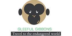 Gleeful Gibbons