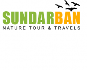 Sundarban Nature Tour & Travels