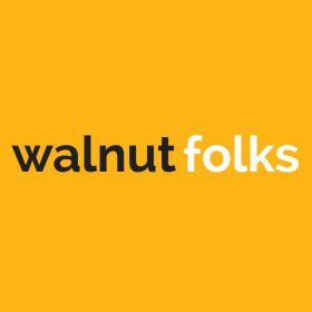 Walnut Folks Pvt Ltd - SEO, Website Development, Social Media, Branding Agency