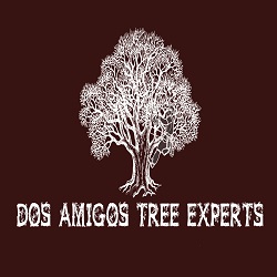 Dos Amigos Tree Experts