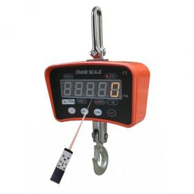 Crane weighing scales