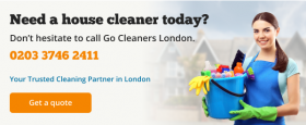 Go CLeaners London