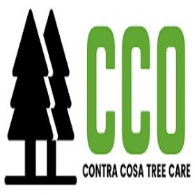 CCO Tree Care
