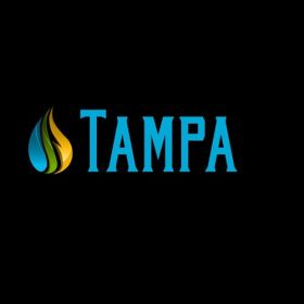 Water Mold Fire Restoration of Tampa