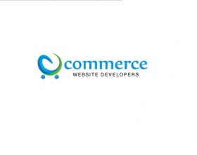Ecommerce Website Developers Inc.