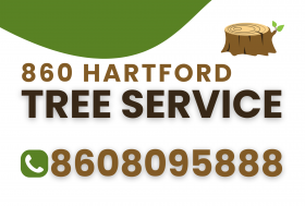 860 Hartford Tree Service