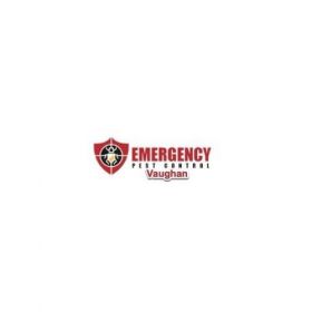 Emergency Pest Control Vaughan