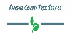 Fairfax County Tree Service