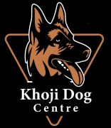 Khoji Dog Pakistan