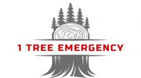 1 Tree Emergency