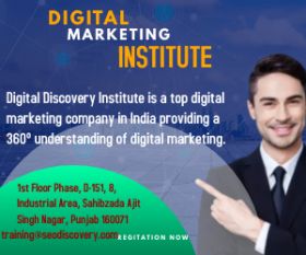 Digital Discovery Institute