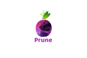 About Prune Digital Solutions Pvt Ltd