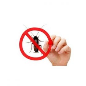 Emergency Extermination Montreal