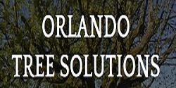 Tree Solutions Dr Philips
