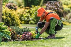 Timonium Landscaping