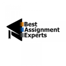 Best Assignment Experts