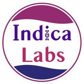 Indica Labs Pathology, Hematology & Biochemistry in Rewa