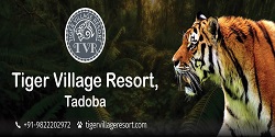 Tiger Village Resorts