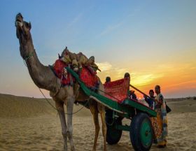 Sam sand dunes desert safari camps