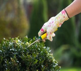 Pressure Washing Neasden