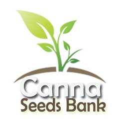 Canna Seeds Bank