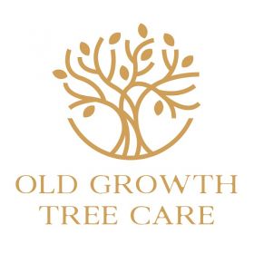 Old Growth Tree Care