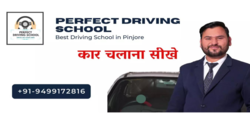 Perfect Driving School