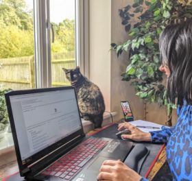 Pixie Greatorex Freelance copywriting