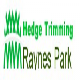 Hedge Trimming Raynes Park