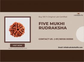 Rudraksha Company