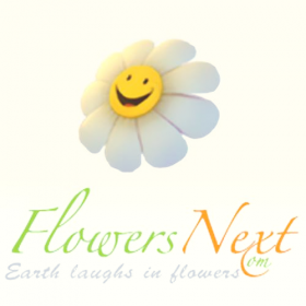 Flowersnext