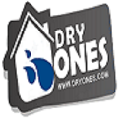 Dry Ones Water Damage Restoration (FL)