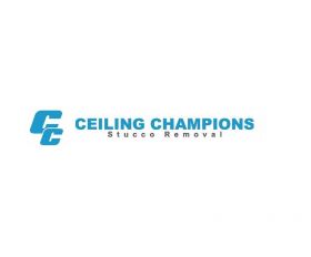 Ceiling Champions Richmond Hill