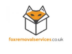 London Fox Removal Services