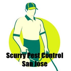 Scurry Pest Control San Jose