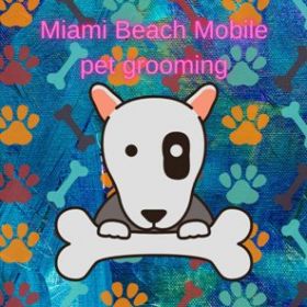 Miami Beach Mobile Dog Grooming