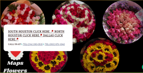 Maps Flowers