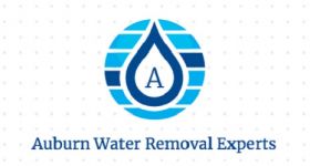 Auburn Water Removal Experts