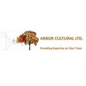 Arbor Cultural Ltd