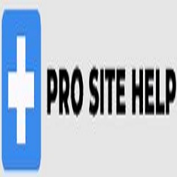 Pro Site Help